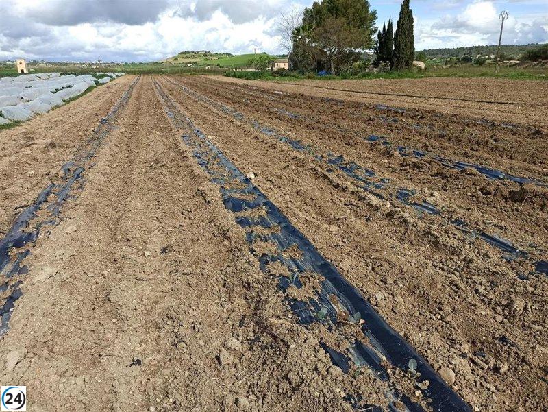 Apaema apunta que els sòls han estat els 