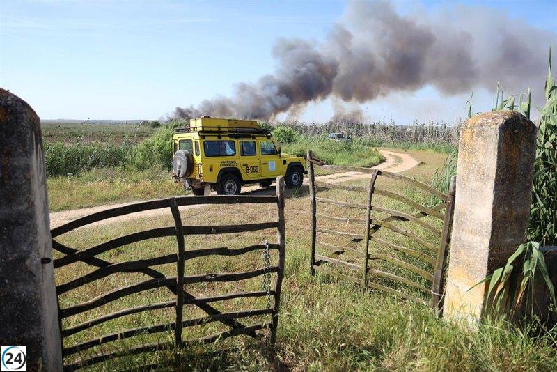 El Govern preveu que l'incendi forestal al parc natural de S'Albufera quedi extingit aquest dimecres.

El Govern preveu que l'incendi forestal al parc natural de S'Albufera quedi apagat aquest dimecres.