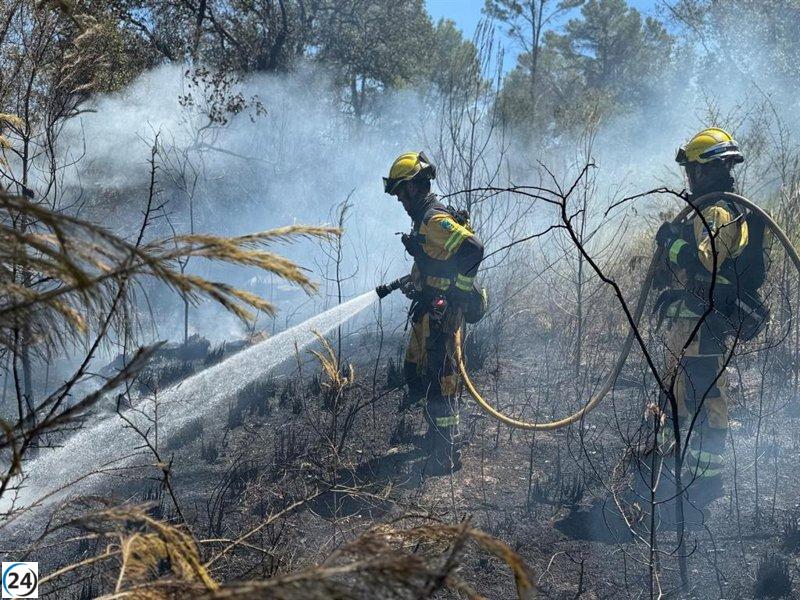 Incendi forestal a Randa controlat després de cremar 1,3 hectàrees de bosc de pins i vegetació agrícola.
