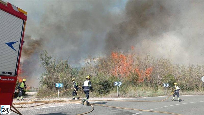 Els bombers de Mallorca i l'Ibanat actuen en un incendi a s'Albufera.