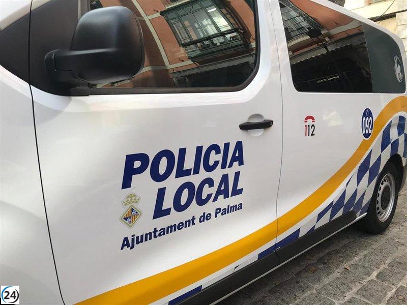 Jove de 19 anys detingut per agredir la seva exnovia i robar-li el mòbil al polígon de Son Morro (Palma)
Jove de 19 anys detingut per agredir la seva exnovia i robar-li el mòbil al polígon de Son Morro (Palma)