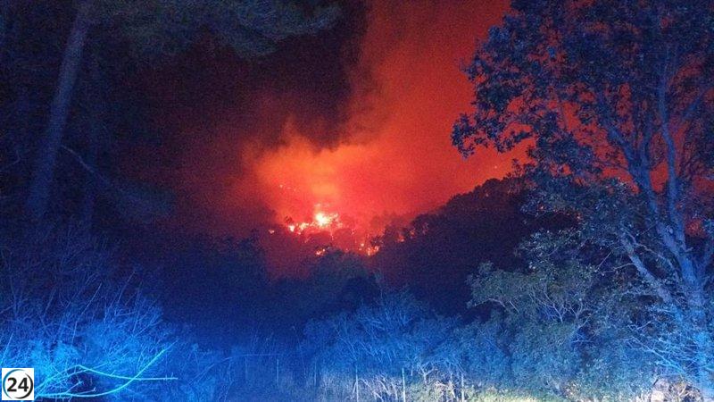 Incendio declarado en Andratx. 

Incendi declarat a Andratx.