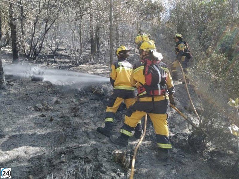 Els incendis forestals crema 0,08 hectàrees de superfície a les Balears a gener.

Els incendis forestals crema 0,08 hectàrees de superfície a les Balears a gener.