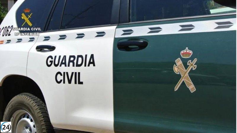 Investiguen les persones que portaven dos gossos solts que van atacar un home a Es Migjorn.