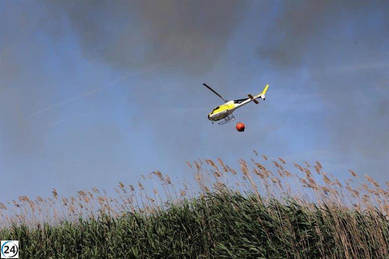 15 incendis forestals han cremat 0,4 hectàrees a les Illes Balears fins a abril.