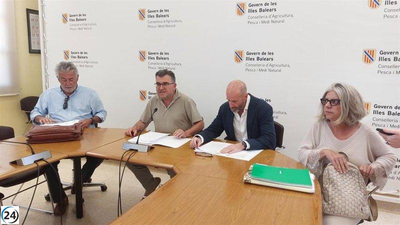 Agricultura podria sancionar amb fins a 420.000 euros la granja de gallines de Llucmajor i tanca una de les naus.