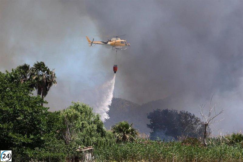 Baleares registra 12 incendis a juny, amb més de 20 hectàrees cremades durant l'any.

Illes Balears registra al juny 12 incendis que eleven a més de 20 les hectàrees cremades en el que va d'any.