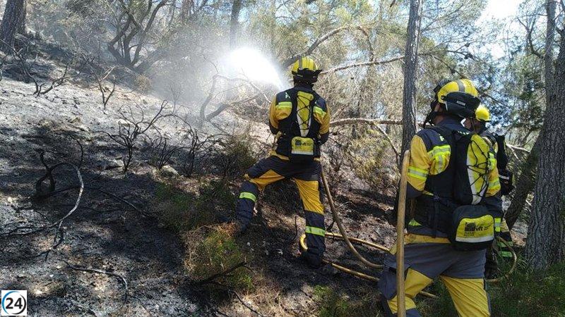 Els incendis forestals han cremat 22,52 hectàrees a les Balears fins al 1 d'agost.