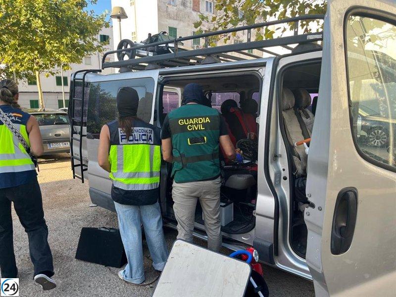 12 detinguts en l'operació contra la trama de blanqueig i narcotrafic a Mallorca passen a disposició judicial.