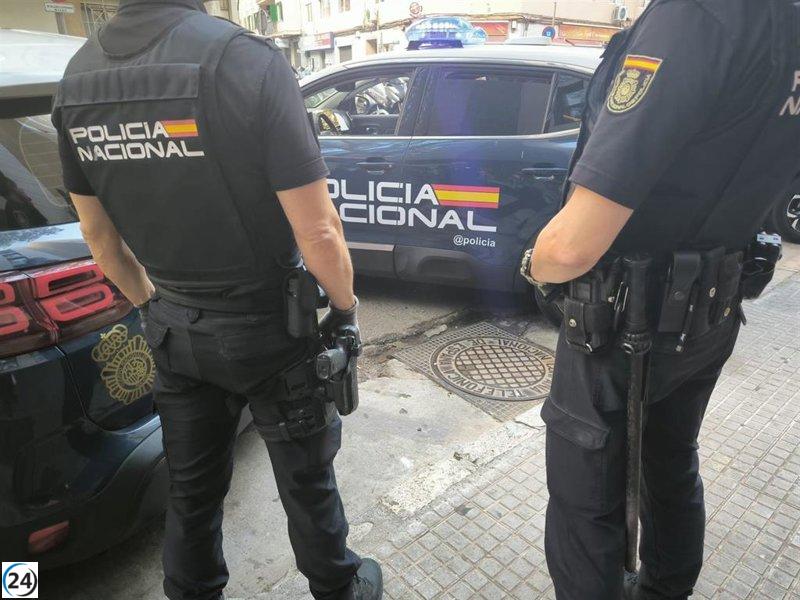 Detenen dos joves per entrar a robar en un concessionari de Palma.