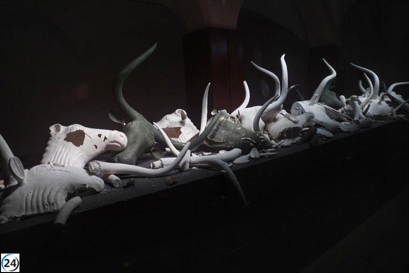 El Museu de Mallorca obre una exposició sobre l'absència dels Bous de Costitx.

El Museu de Mallorca inaugura l'exposició sobre l'absència dels Bous de Costitx.