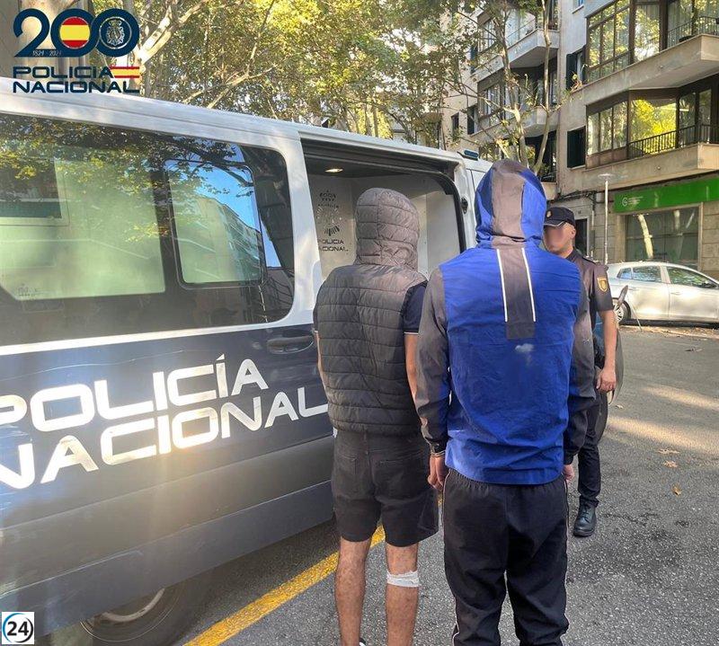 Dos detinguts per amenaçar amb una navalla i un destornillador a dos turistes per robar-los a Palma.