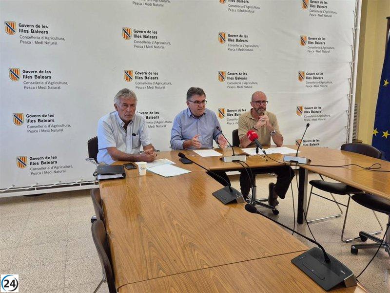 Alerta a Mallorca per la presència del serotip 3 de la lengua blava i vacunació contra el serotip 8.