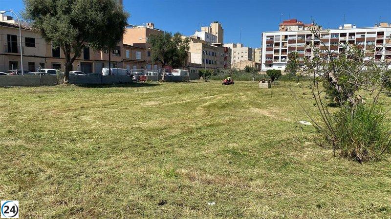 Martínez alerta dels increments de preus a les zones de transició de Palma: 