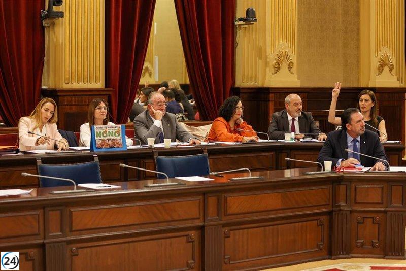 Vox demana que les subvencions del Govern excloguin les ONG que ajudin immigrants irregulars.

Vox demana que les subvencions del Govern no es donin a les ONG que ajudin immigrants irregulars.