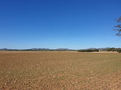 Les curses de cavalls són una tradició a Mallorca