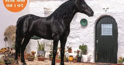 Fira dels artistes, esdeveniment cultural a Es Mercadal