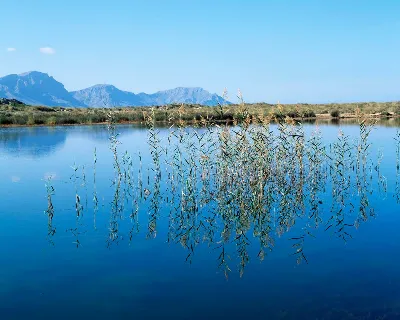 Les Illes Balears estudien com reduir l'impacte del turisme en el medi ambient