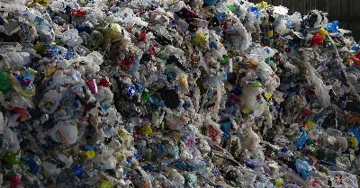 El reciclatge, una pràctica que guanya adeptes a les Illes Balears